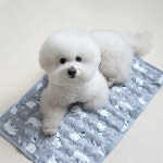 폴라베어 폴라베어 강아지 쿨매트 애견 반려동물 여름 쿨방석 중형 1개