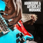 표준 시리즈 스테인리스 스틸 테이퍼드 베이스 스트링 5줄