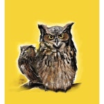 반아트 부엉이 시리즈 수호 동물 가족과 집을 지켜주는 부엉이 그림 3호 30 23 2 부엉이 한마리 캔버스 노프레임