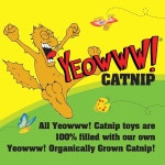 야옹 캣닙 장난감 노란 바나나 Catnip Toy