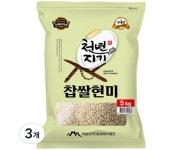 천년지기 찹쌀현미 5kg
