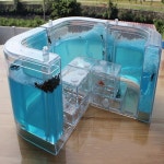 개미집 관찰 하우스 키우기 집만들기 아크릴 농장 투명한 지속 사육 개미굴