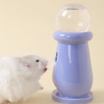 테일테일 햄스터급수기 던던급식기 급수기 스프링 1개