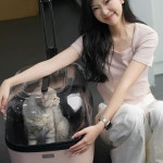 고양이 이동가방 투명 캠핑 반려견 케이지 1 투명타입 42 33 15근속고양이