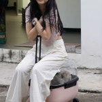 고양이 캐리어 이동가방 투명 캠핑 반려견 케이지 1 투명타입 42 33 49cMECHATRON