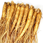 금산인삼 수삼 세척 4 6년근 원수삼 600g 12 16뿌리