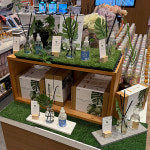 올리 몬스테라 디퓨저 기프트세트 러브미