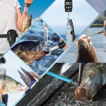 XBLACK 낚시 도구 키트 펜치 물고기 잡기 세트 소금물 저항 Simple Set - A