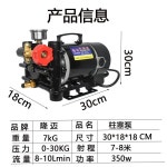 농업 양수기 물펌프 분무기 세차 급수 원예 고압 플런저 12V 1 220v350w 액세서리