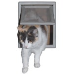 이상적인 반려동물 제품 스크린 핏 문 8-7 8 x 10-1 2 플랩 크기