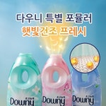 P&G 다우니 초고농축 섬유유연제 실내 건조 삶음 탈취 민트시트러스 1L