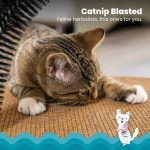 셀프 그루밍 스테이션 오렌지를 위한 탈착식 곡선 브러시가 캣스테이지 스크래치 고양이 스크래처 Hunting Box