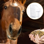 의이판 2개 사료 스쿱 측정용 3쿼트 플라스틱 계량 펠릿 재사용 가능한 말 염소 양 사육 용품용 스쿱