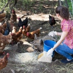 의이판 2개 사료 스쿱 측정용 3쿼트 플라스틱 계량 펠릿 재사용 가능한 말 염소 양 사육 용품용 스쿱