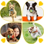 Zeaxuie 25팩 강아지용 럭셔리 강아지 씹기 장난감 밧줄이 달린 작은 강아지를 위한 간식 공 삐걱거리는 장난감 25 Pack Value-Toys