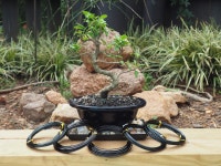 아노다이징 알루미늄 분재 트레이닝 와이어 5사이즈 스타터 세트 - 캔버스 백 1 1 2 2 3 총 147피트 5