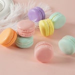 마카롱 모형 8종 세트 모조 가짜 마카롱