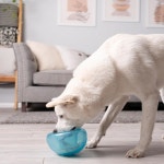 아웃사이드 하운드 바이 플래닛 도그 스눕 내구성 인터랙티브 간식 디스펜싱 장난감 라지 1 Lil Snoop