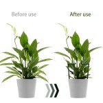 작은 채소 실내 식물을 위한 24개의 클립 반원형 원형 플라스틱 케이지 홀더 화분 등반 트렐리스가 포함된 12팩 식물 지지대 스테이킹