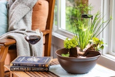 폭포 명상 휴식 모카가 포함된 아쿠아스케이프 아쿠아가든 탁상용 분수 키트 Mocha