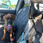 AsFrost 도그 시트 커버 자동차 SUV 두꺼운 600D 헤비 듀티 애완동물 카시트 커버 방수 내마모성 내구성 논슬립 백킹 해먹 컨버터블 2팩