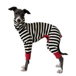 이탈리안그레이하운드 그레이하운드 올인원 옷 스트라이프 티셔츠 배내저고리 1사이즈 3 4kg