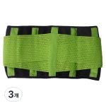 디엠코퍼레이션 알럽핏 컬러 허리 복부 밴딩벨트 그린 2개입 M 신축성 기능성 허리보호대 복대