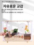 햄스터 집 케이지 골든햄스터 키우기 1개 대형 60대공간 조경공간 패키지