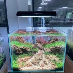 WEEK AQUA 수생 APP 타이밍 디밍 LED 흑백 민물 헤드라이트 패널 A430 PRO 120W