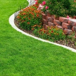 금속 정원 펜싱 - 화단 조경을 위한 5개의 연동 패널 세트 - 순수 정원의 잔디 말뚝이 장식용 스크롤 가장자리 Iris