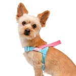 올치 올치 봉봉V하네스 강아지 하네스- 스카이블루 one coloi M 1개