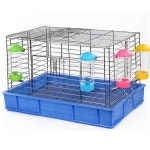 LAPXSNZD 2Pcs 16온스 드립 금지 작은 동물 물병 애완동물 토끼 토끼를 위한 BPA 프리 최고의 물병 색상은 랜덤입니다