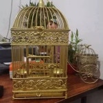 엔틱 새장 초대형 날림장 사육장 잉꼬