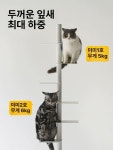 북케이스 책꽂이 수납함 장식 투명 선반 책상 꽂이
