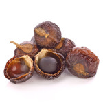 솝넛 허브 soap nut -솝베리-소프넛 500g 1개