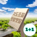무지스 1 1 각도조절 텃밭팻말 중 각인 주말농장 팻말 나무 문패 텃밭이름표 수목 표찰 우드간판 푯말 안내표지 기본 한영02