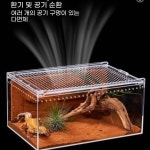 금와달팽이 달팽이키우기 1 수입소재 B 일반 PC 소형