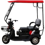 삼륜 오토바이 지붕 캐노피 레인 차양막 A 70130 흰색 이중 레이어 상단 완전