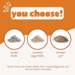 닭 굴 껍질 공급기 그릿 콤보