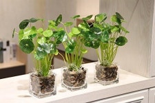 OUPENG 자갈 연마 천연 광택 혼합 돌 작은 장식용 리버 암석 2파운드 32온스 2 LB 32-Oz