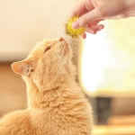 VAPKER 30피스 모듬 컬러 스파클 볼 고양이가 가장 좋아하는 장난감 틴셀 폼 폼스 글리터