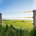 전기 울타리 고무 게이트 10팩 - 스프링 손잡이 정원 농장용 단열 플라스틱 두꺼운 도장 강철 후크 10 pcs