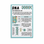 세포 기능 구조 생물학 예술 포스터 교육 DNA 과학 10 캔버스 페인팅 거실 침실 장식용 벽 인쇄 08x12 언프레임 스타일