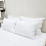 아이닉스 프리미엄 저데니아 베개솜 40x60 50x70