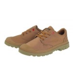 -브라운 77857-204 507782