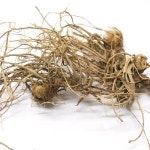 할미꽃 뿌리 50g Pulsatilla Koreana Root 국산-청주