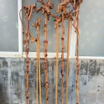 감태나무 연수목 장수 등나무 도사 감태 목발 감태나무지팡이