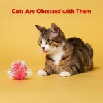 시즈후 30피스 고양이용 스파클 폼 볼 - 인터랙티브 글리터 볼 다양한 고양이 놀이 장난감으로 1 6 Inch 30 Balls