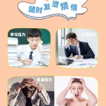 미니 샌드백 탁상용 복싱볼 연습용 흡입 복싱 홈트 훈련 1 펀치 책상 공기펌프 업무 타켓 1 공기펌프