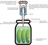 아트컴 32 PC 발효 에어락 뚜껑 키트 세트 - 대형 와이드 마우스 메이슨 병용